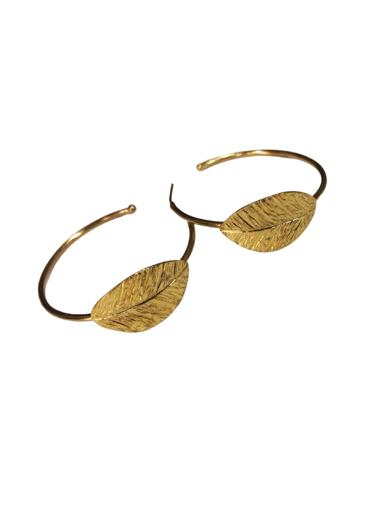 Aros Apolo